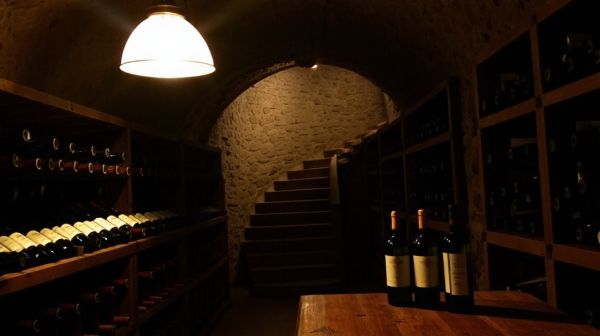 Top 5 caves à vin élégantes pour conserver vos bouteilles